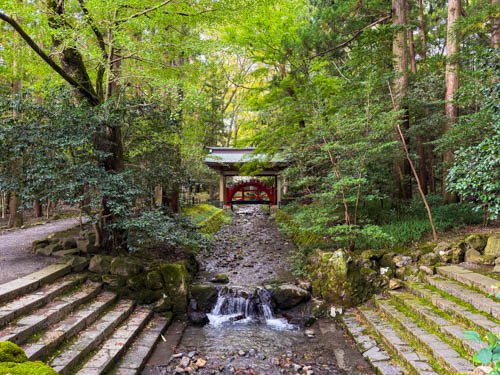 彌彦神社