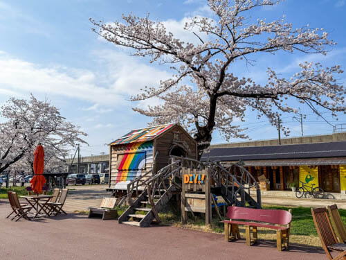 新潟三条で花見